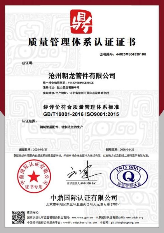 沧州朝龙管件有限公司