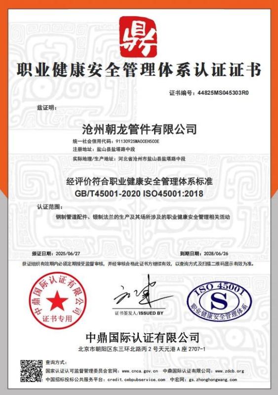 沧州朝龙管件有限公司